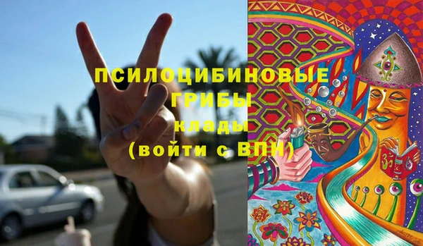 не бодяженный Арсеньев