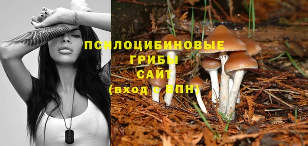 крисы Усмань