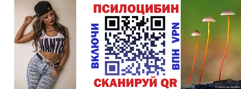 omg зеркало  Сочи  Псилоцибиновые грибы Cubensis  купить  